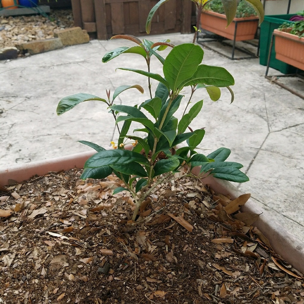 Meet your Posher, Reagan